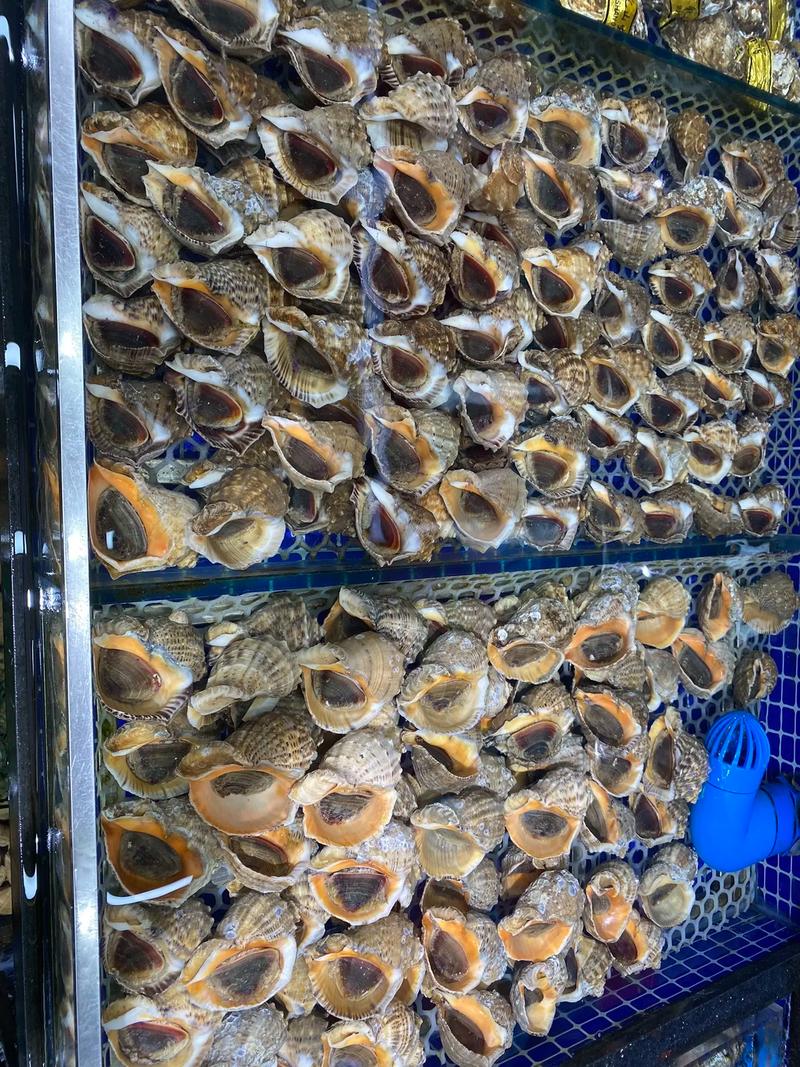专业的事情必须专业的人 海鲜水产行业的深度思考