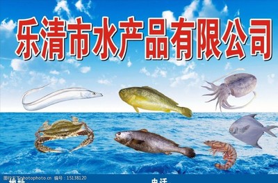 鳘鱼的水下掠影 一款潜力无限的高端水产品素材