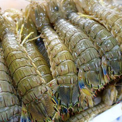 清蒸&ldquo;皮皮虾&rdquo;、生腌&ldquo;濑尿虾&rdquo;、椒盐&ldquo;富贵虾&rdquo;,你爱哪种虾蛄?