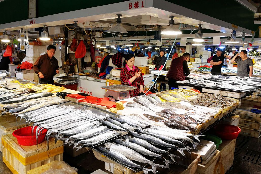 海鲜市场探访记 鲜活水产琳琅满目，野生养殖进口应有尽有
