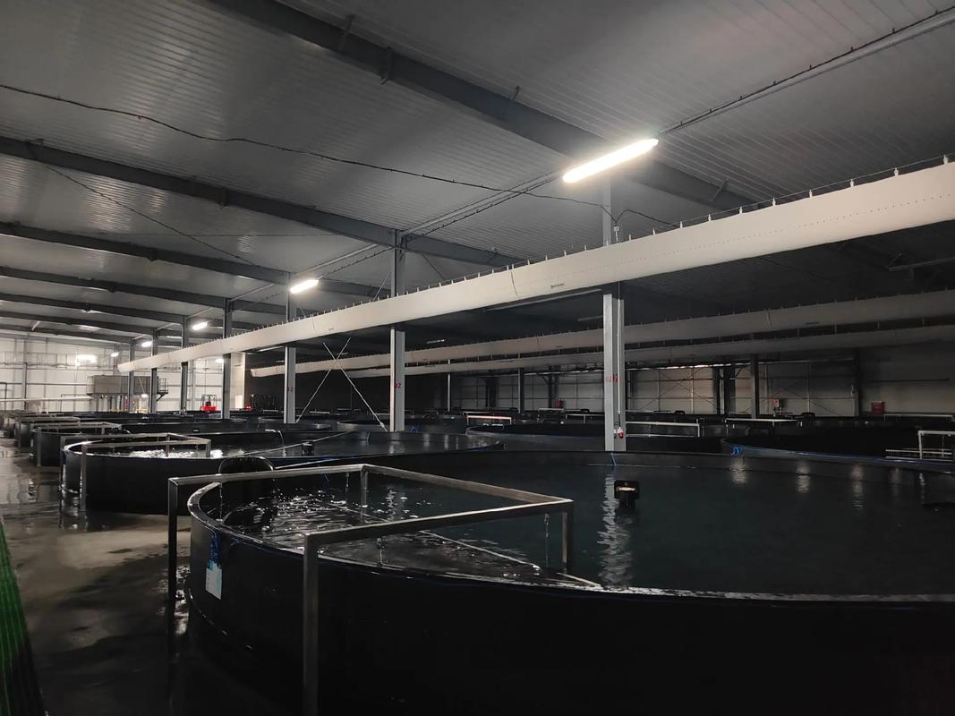 深访全球最大鳗鱼工厂化基地 福建汇泽渔业的“水文章”启示录